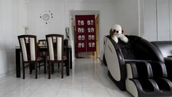 Blk 576 Woodlands Drive 16 (Woodlands), HDB 5 Rooms #628800341